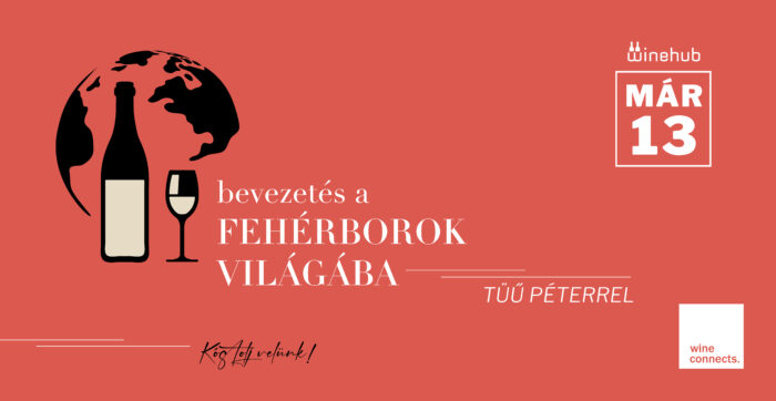 Bevezetés a fehérborok világába - Image 4