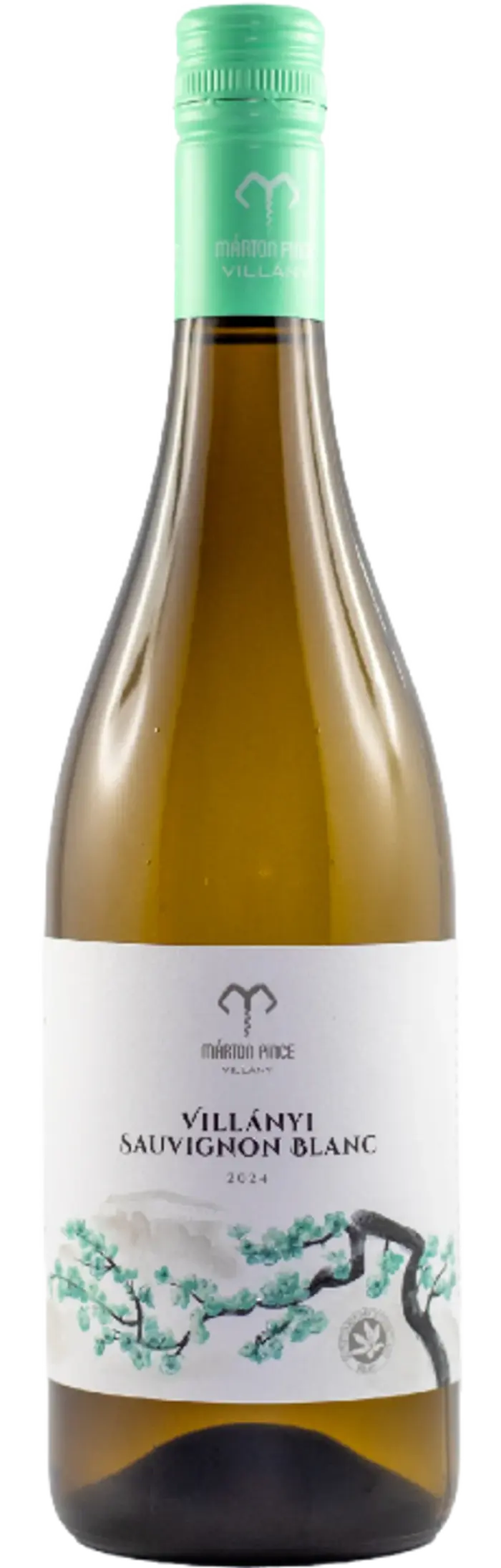 Márton Pince Sauvignon Blanc 2024