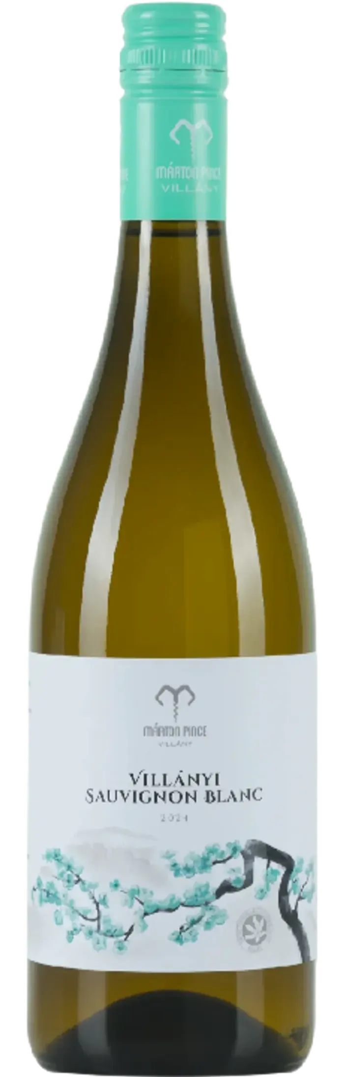 Márton Pince Sauvignon Blanc 2024
